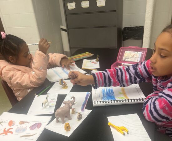 Animal Habitats lesson